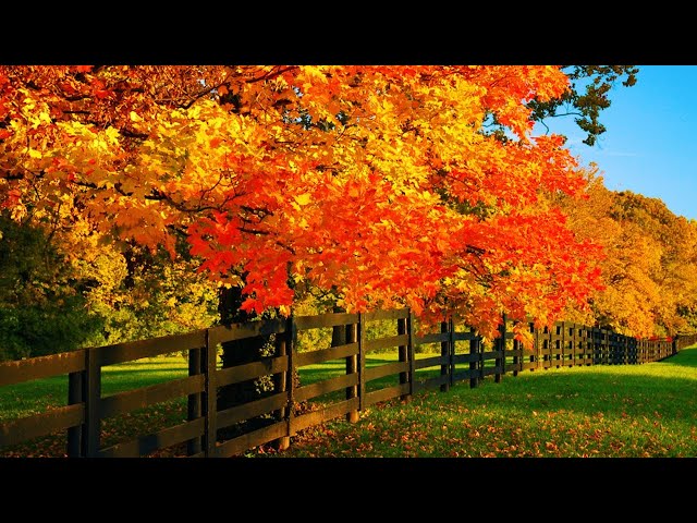 Beautiful Relaxing Music, Peaceful Soothing music “September Autumn Leaves” in 4k by Tim Janis